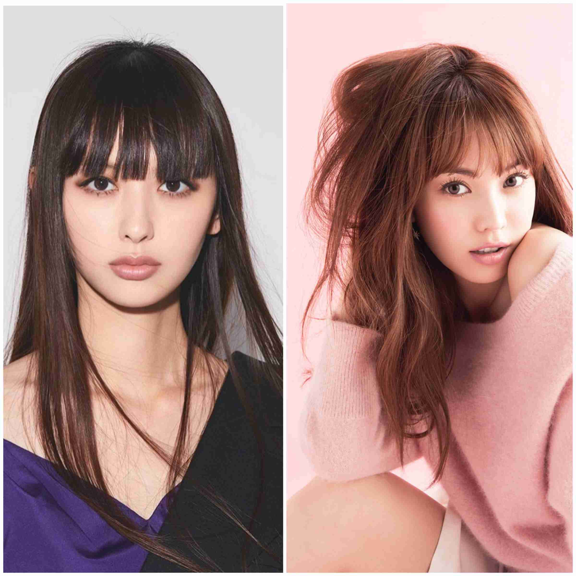 陽タイプ・陰タイプの有名人