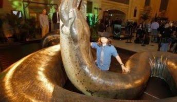 絶滅した動物の画像を貼るトピ