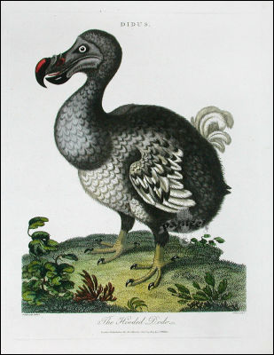 絶滅した動物の画像を貼るトピ