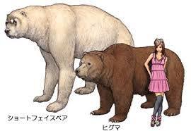 絶滅した動物の画像を貼るトピ