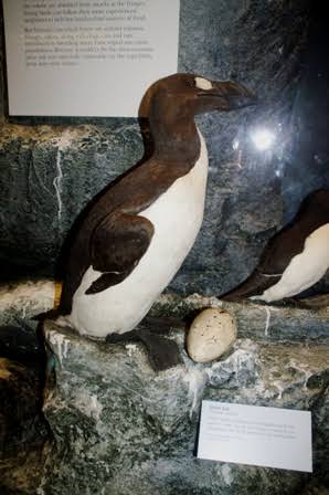 絶滅した動物の画像を貼るトピ
