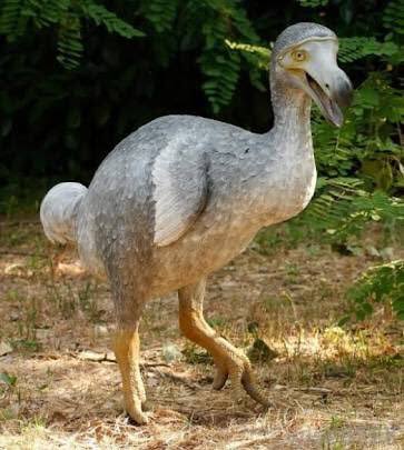 絶滅した動物の画像を貼るトピ