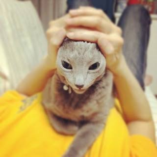 鍵の写真をSNSに投稿しないで！　業者だけでは防げない合鍵問題