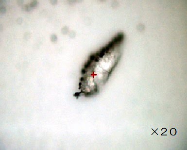 鍵の写真をSNSに投稿しないで！　業者だけでは防げない合鍵問題
