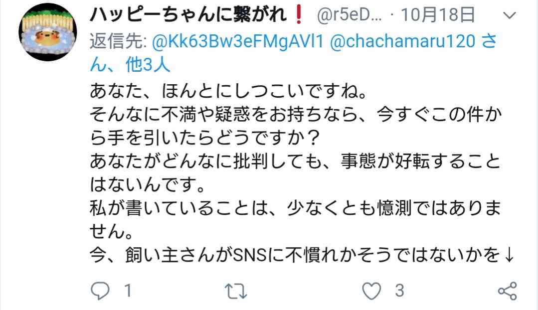 公園で散歩中のトイ・プードル・・・娘の手を噛んだと父親が連れ去り!飼い主は「捜して」と呼びかけ