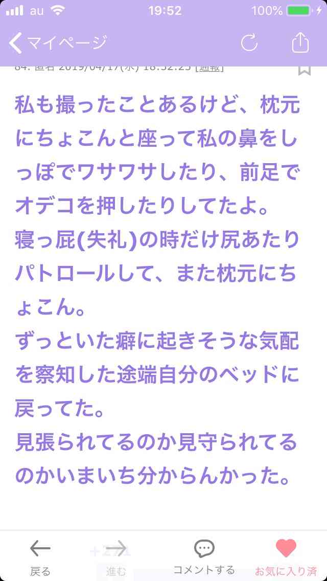 犬猫と寝てる皆さま