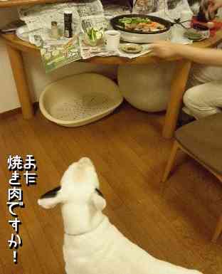 おうち焼肉の心得