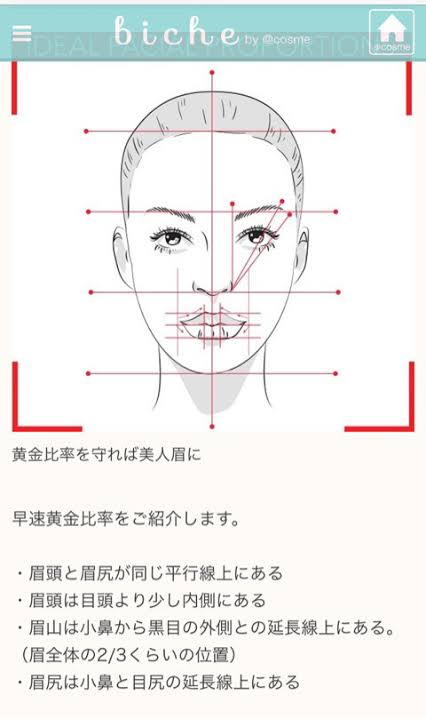 眉毛の形、参考にしてる人いますか?