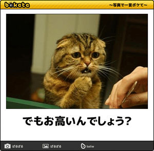 最近買った高い物、後悔はありますか?