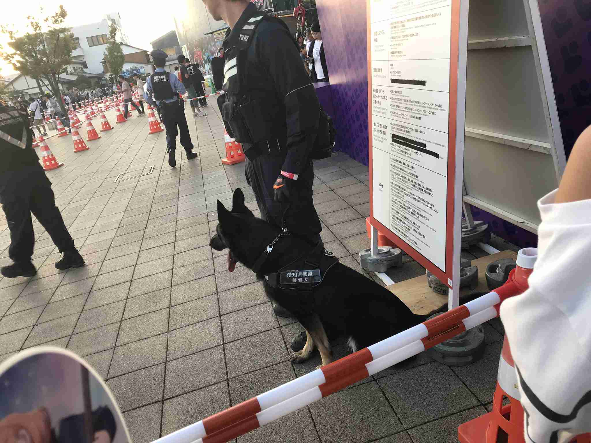 大型犬が好きな人