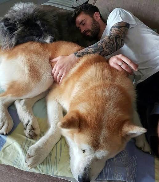 大型犬が好きな人