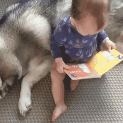 大型犬が好きな人