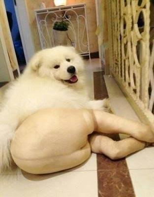 伝線したストッキングの再利用【ネタ可】