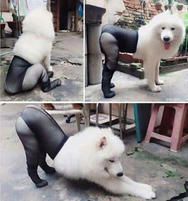 伝線したストッキングの再利用【ネタ可】