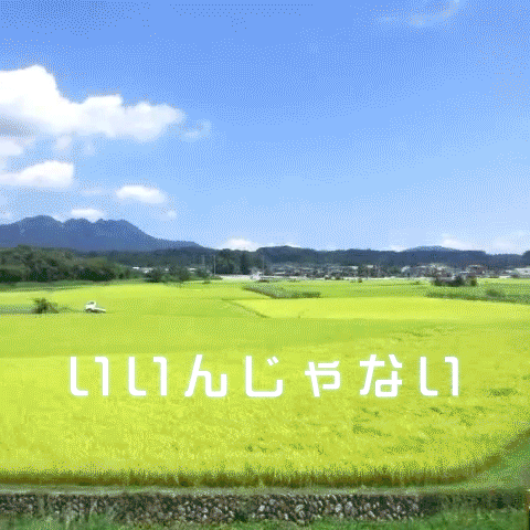 家族・親戚を大事に思えない