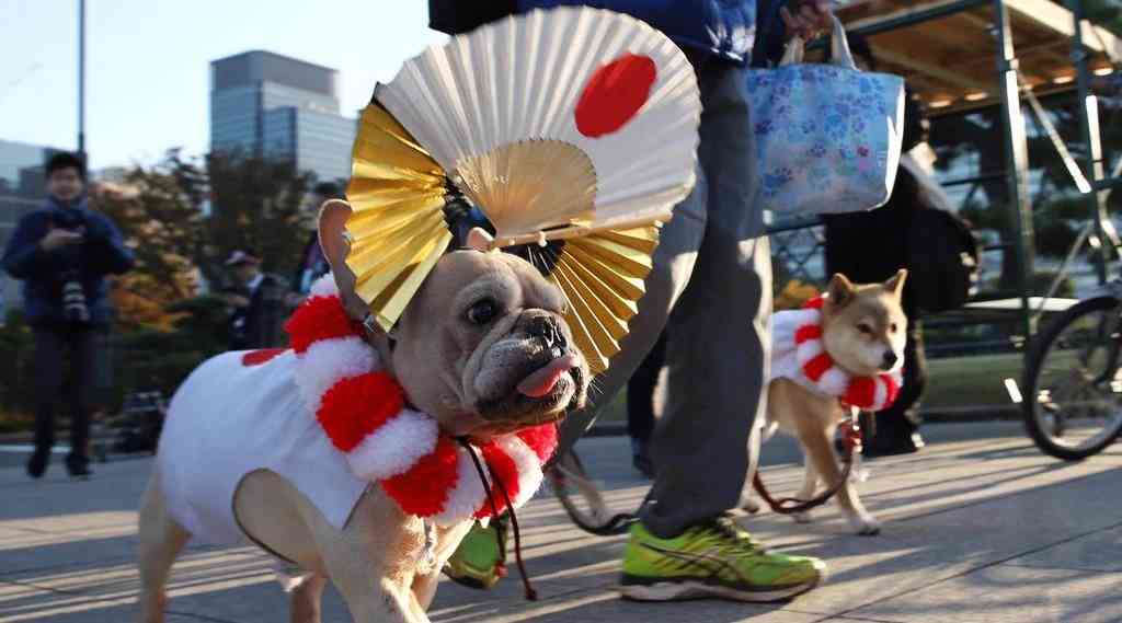 【実況・感想】天皇陛下ご即位をお祝いする国民祭典　～皇居前広場から中継～