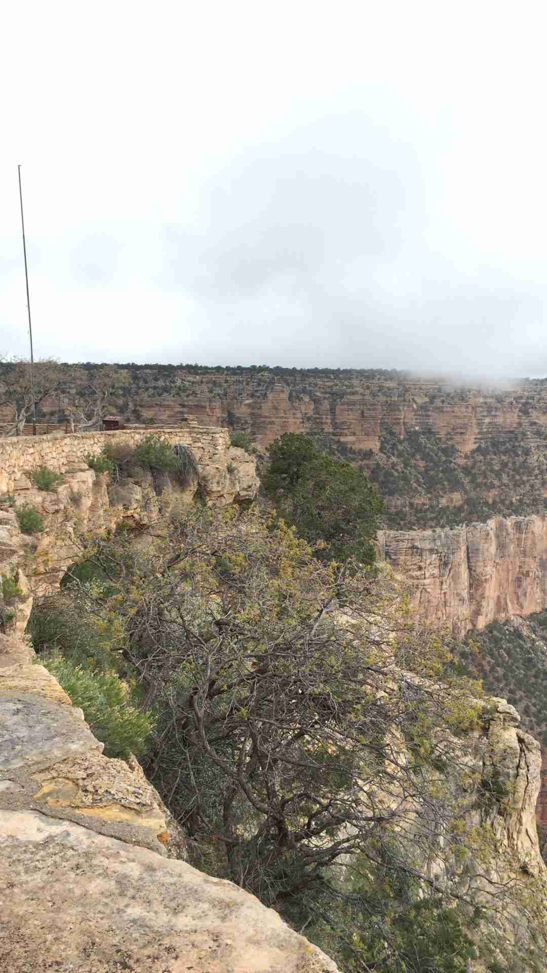 アメリカ旅行のおすすめ
