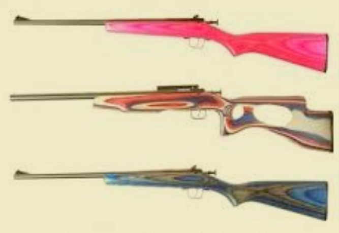 11歳男児が銃で撃たれ死亡　友人の誕生日パーティーで