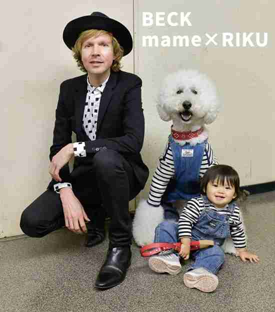 BECK 好きな方