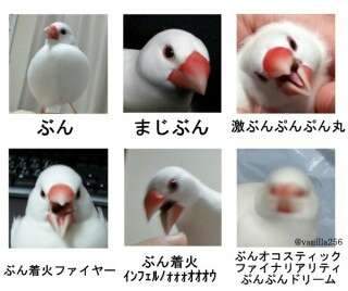 【暇潰し】古い、死語じゃない？と思う言葉にプラスするトピ