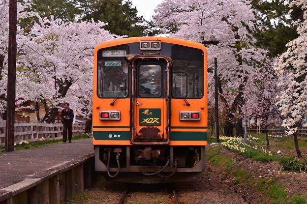 青森県民いませんか？