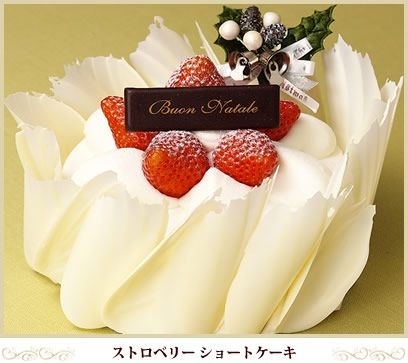 色々なクリスマスケーキが見たい🍰