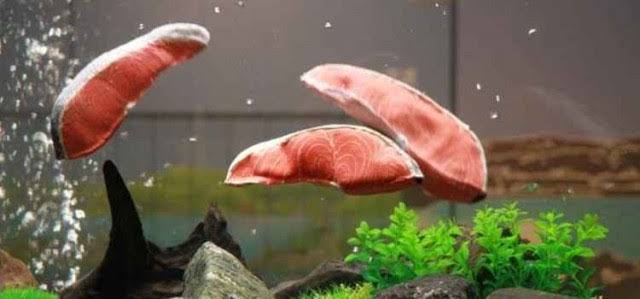 小さい頃、本気で思っていたこと