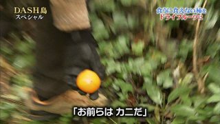 ネタトピ･「鉄腕DASH」でやりそうな企画