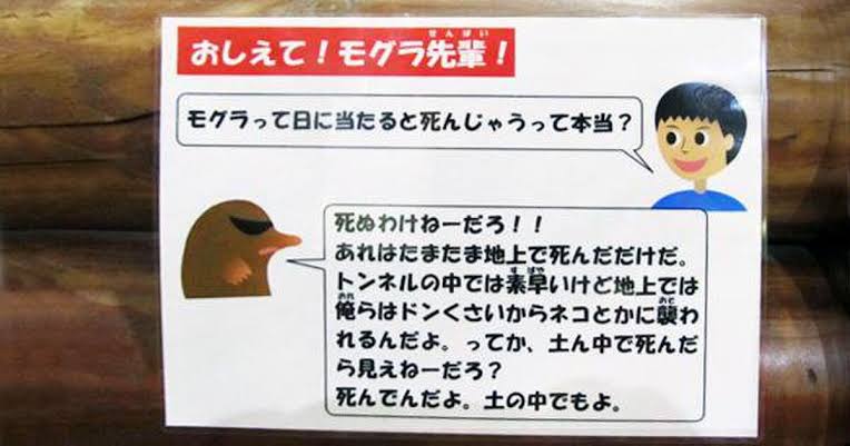これってホント?ウソ?