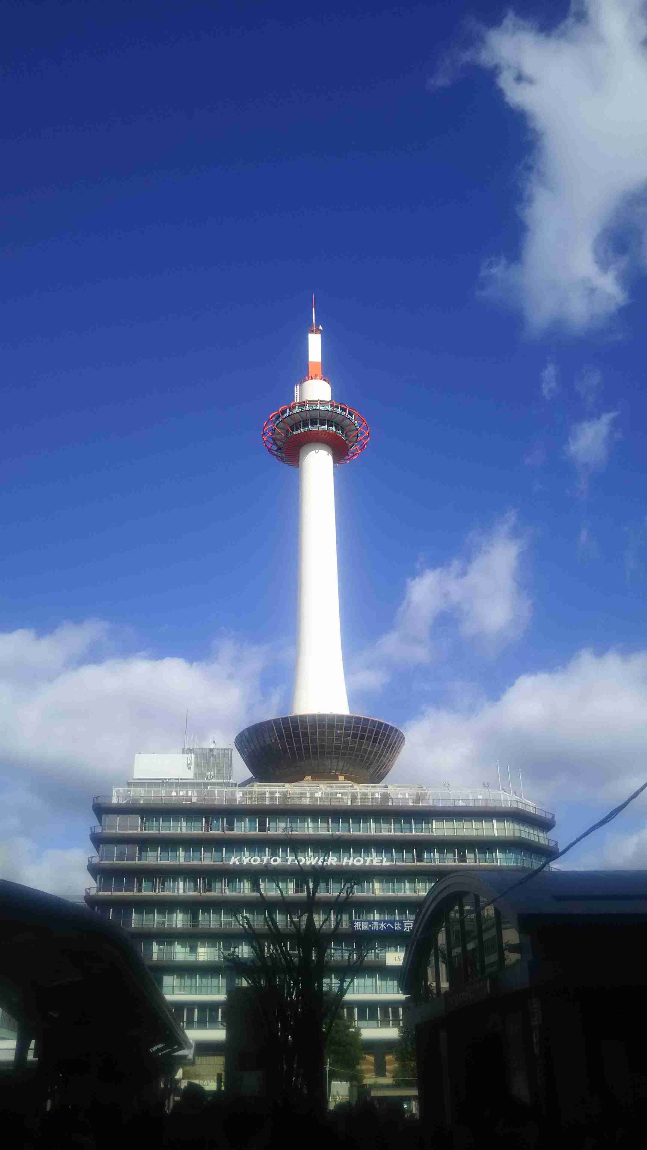 【耐久‼︎】ぼっちさんの三連休