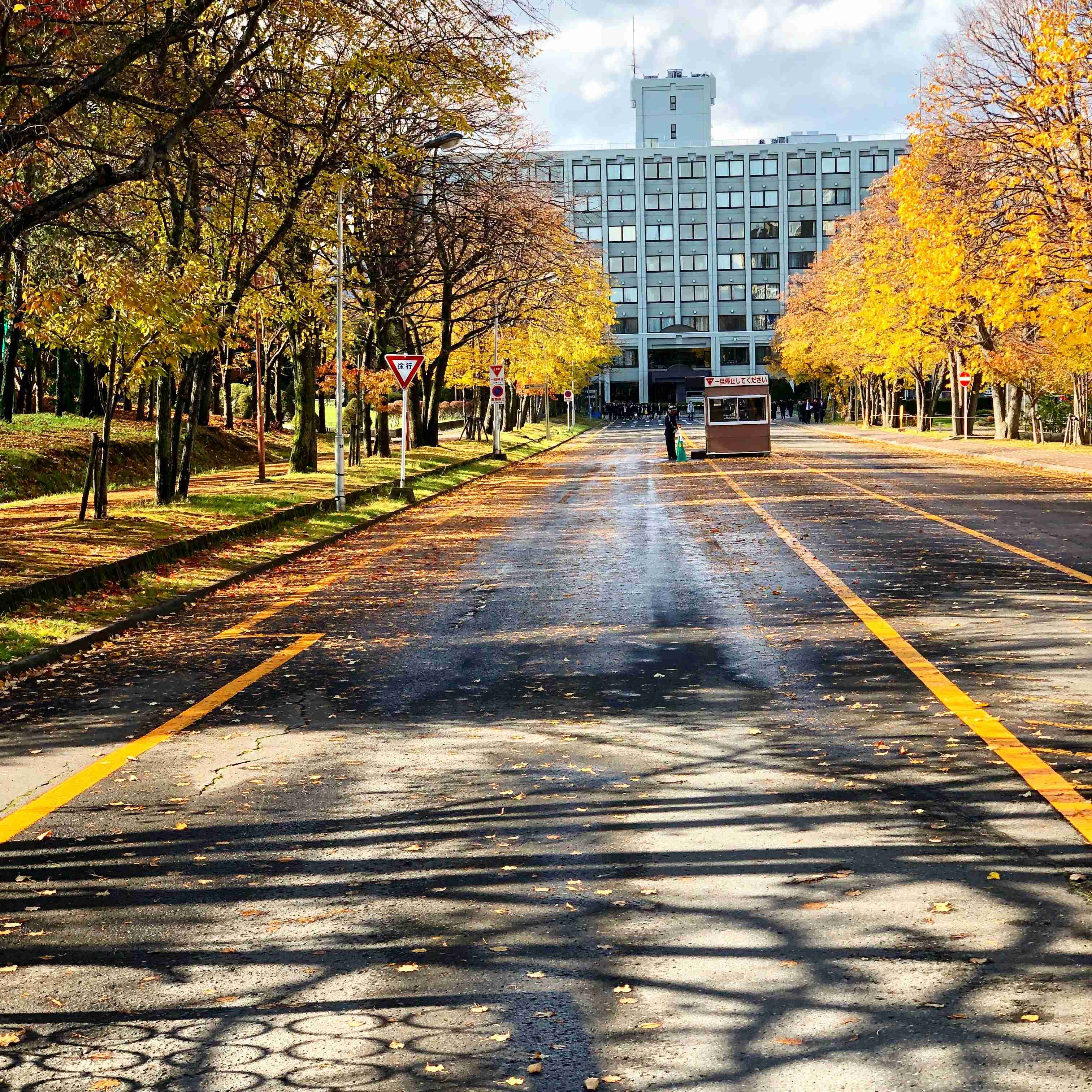 【耐久‼︎】ぼっちさんの三連休