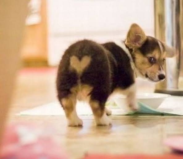 日本って本当に親切?安全?マナーいい?