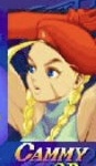 ゲームキャラクターの知名度調査