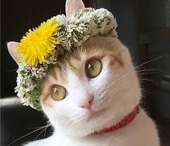 画像を貼ると誰かがトピタイを考えてくれるトピpart3