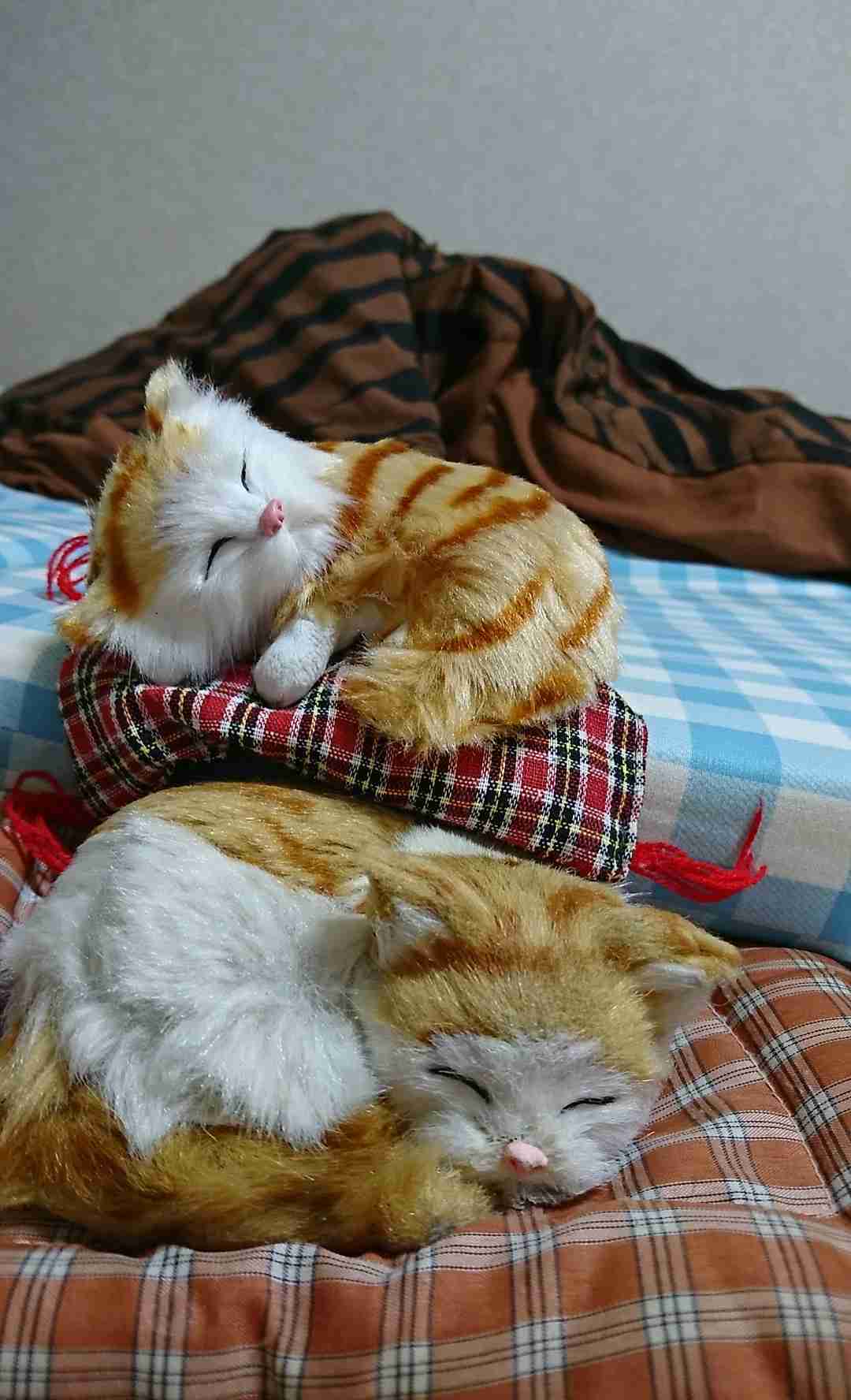 画像を貼ると誰かがトピタイを考えてくれるトピpart3