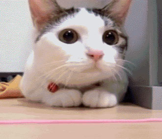 画像を貼ると誰かがトピタイを考えてくれるトピpart3