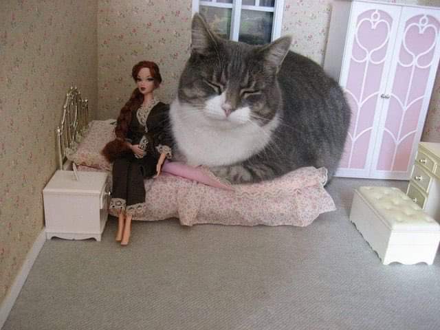 画像を貼ると誰かがトピタイを考えてくれるトピpart3