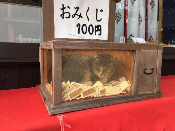 画像を貼ると誰かがトピタイを考えてくれるトピpart3