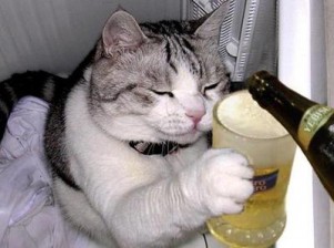 画像を貼ると誰かがトピタイを考えてくれるトピpart3