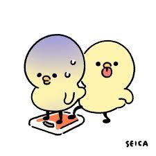 ダイエットの疑問