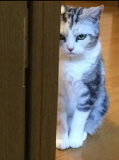 他人の幸せを祝福できるメンタルじゃない人のトピ