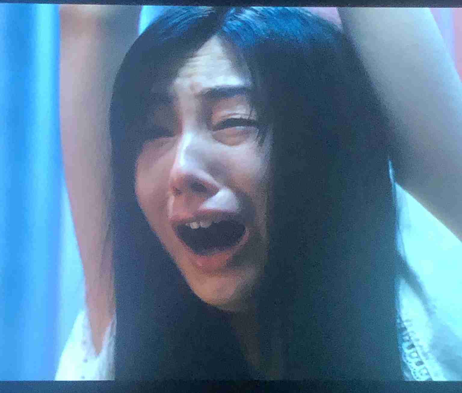 北川景子、初の