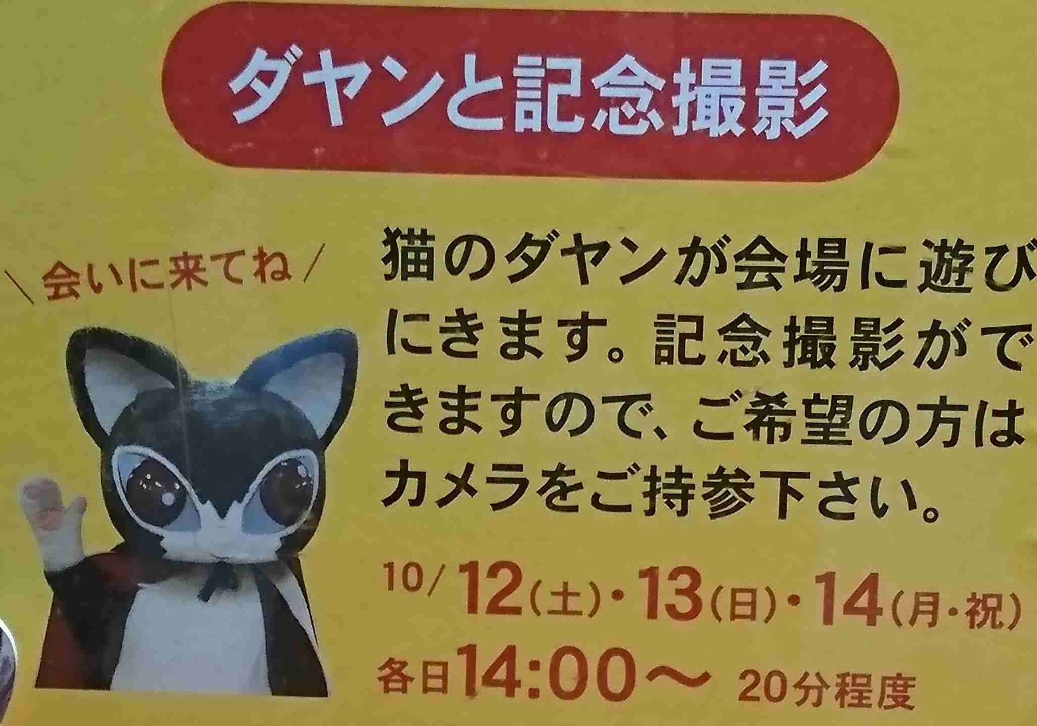 猫のダヤン好きな人 Part2ニャン ガールズちゃんねる Girls Channel