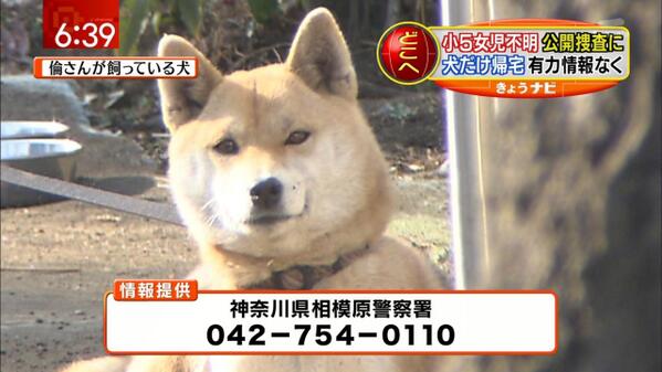 当時は大騒ぎだった懐かしの出来事