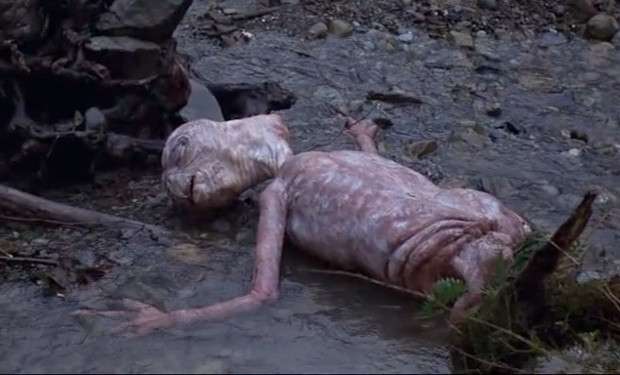 E.T.とエリオット少年が37年ぶりに再会!感動的な