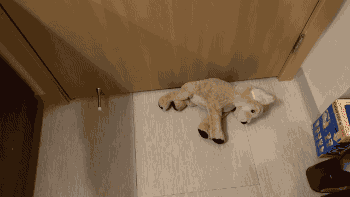 最近ガルちゃんで拾った癒し系画像