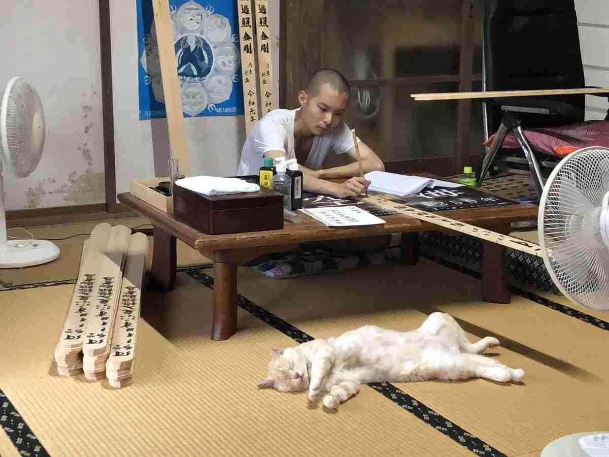最近ガルちゃんで拾った癒し系画像