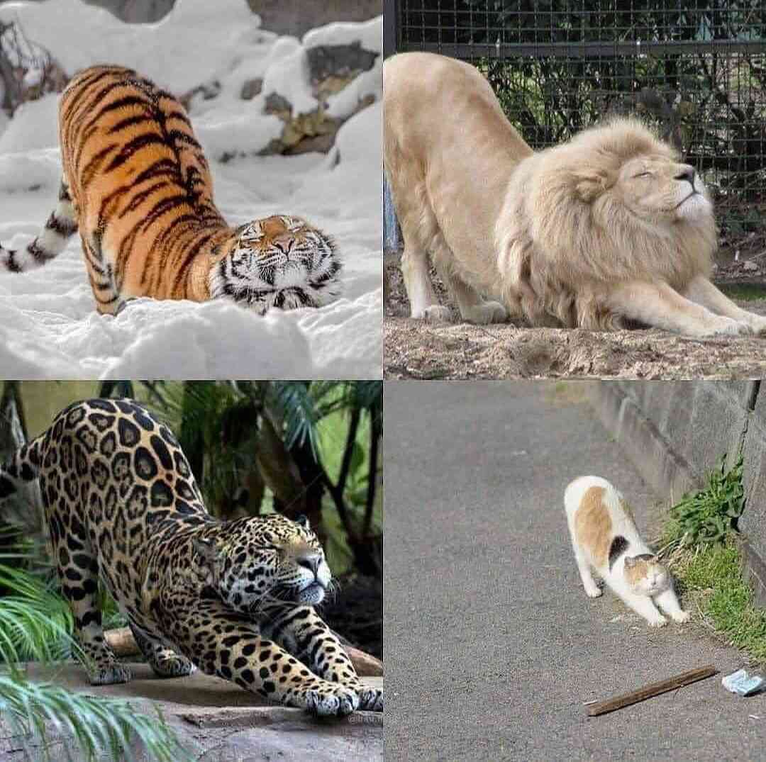 猫背で悩んでます