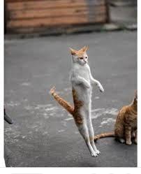 猫背で悩んでます