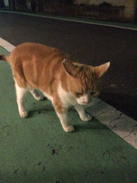 着こなしが難しいもの